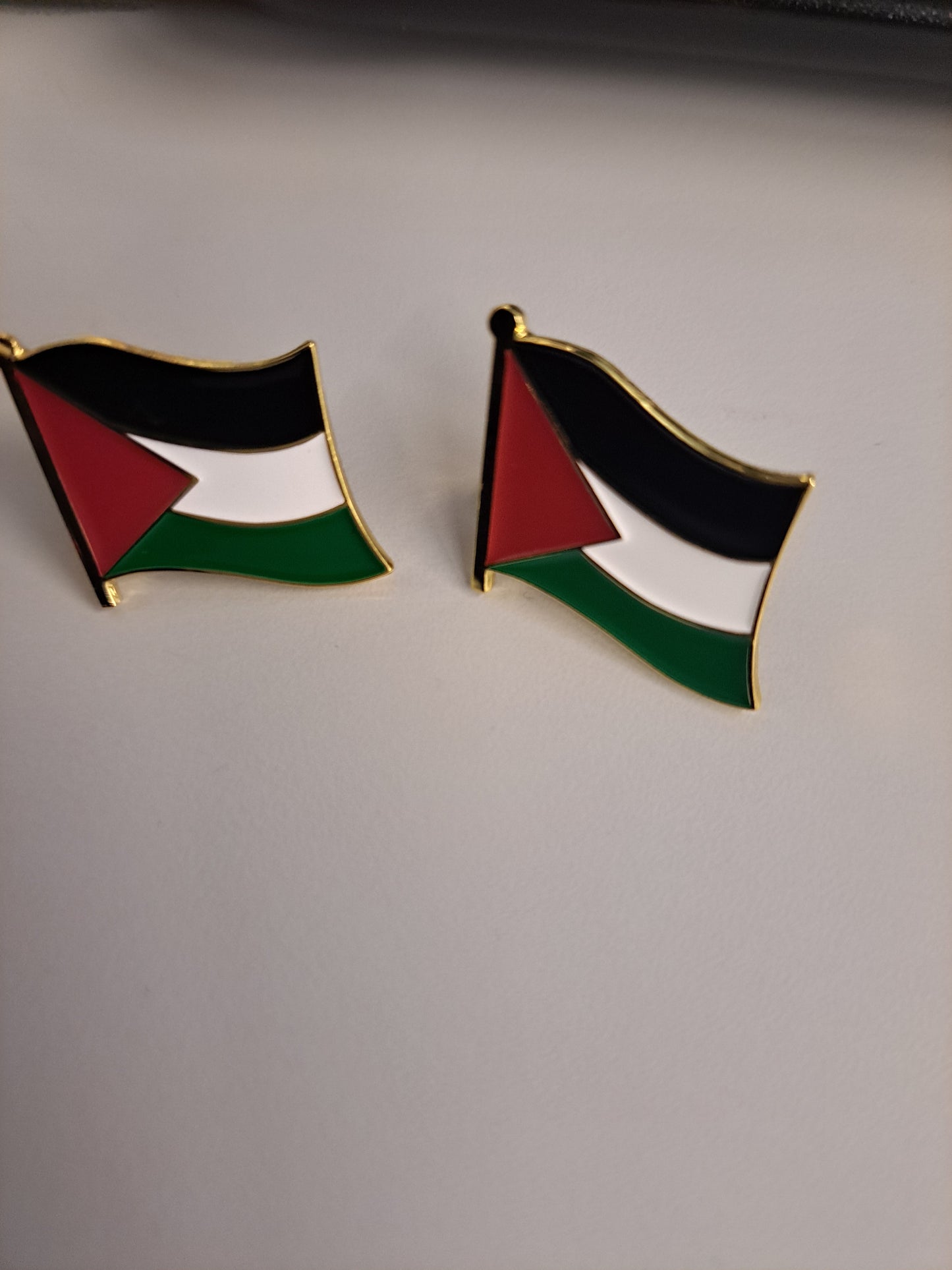 2 Palestine flag pins