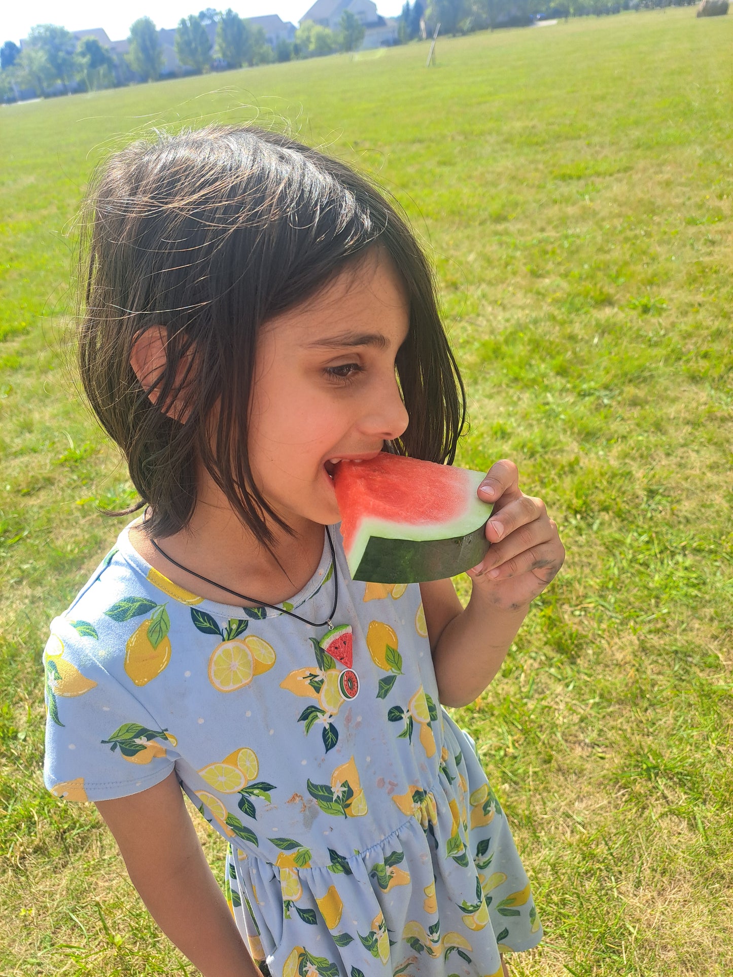 Watermelon neclace