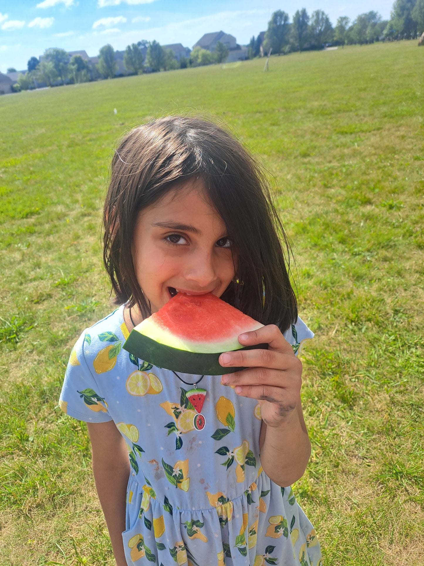Watermelon neclace